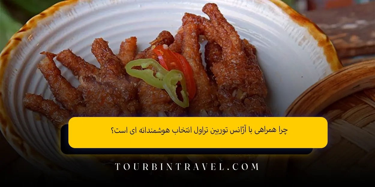 چرا همراهی با آژانس توربین تراول انتخاب هوشمندانه‌ ای است؟